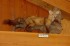 Thumbs/tn_D04018.jpg