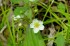 Thumbs/tn_D04034.jpg