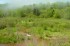 Thumbs/tn_D04035.jpg