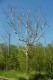 Thumbs/tn_D04066.jpg