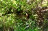Thumbs/tn_D04067.jpg