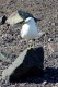 Thumbs/tn_D04073.jpg