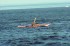 Thumbs/tn_D04080.jpg