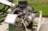 Thumbs/tn_Kmm4021.jpg