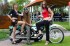 Thumbs/tn_Misc019.jpg