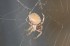 Thumbs/tn_Misc034.jpg