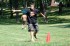Thumbs/tn_Aqdg014.jpg