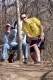 Thumbs/tn_Bco07018.jpg