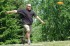 Thumbs/tn_Mnm08114.jpg