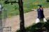 Thumbs/tn_MMAM09077.jpg