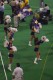 Thumbs/tn_Vc02010.jpg