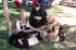 Thumbs/tn_Az06090.jpg